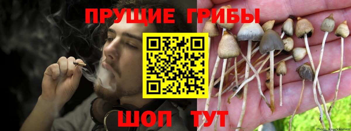 Кумертау  Галлюциногенные грибы мухоморы  Вход с VPN 